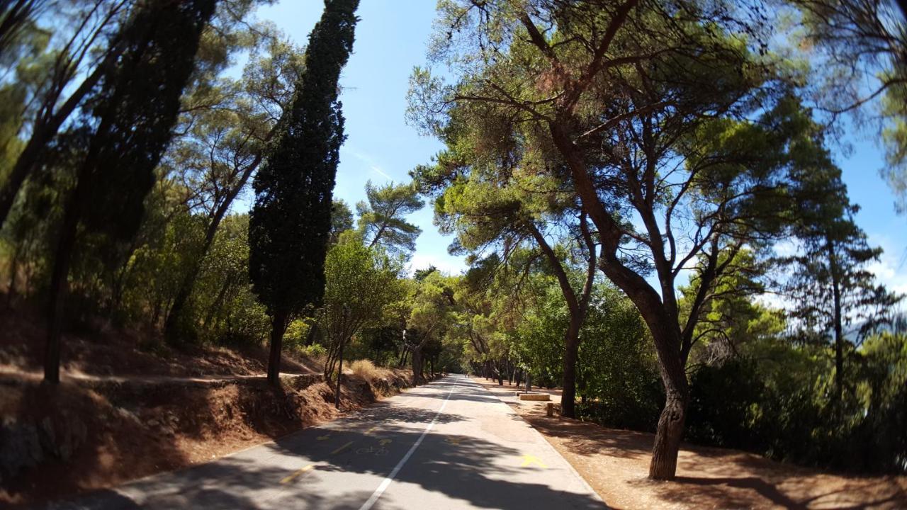 ספליט Villa Branko מראה חיצוני תמונה